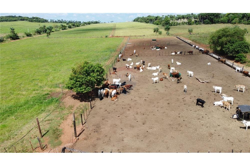 En Venta Campo Estancia Amoblada13 hectáreas Piribebuy — foto 2