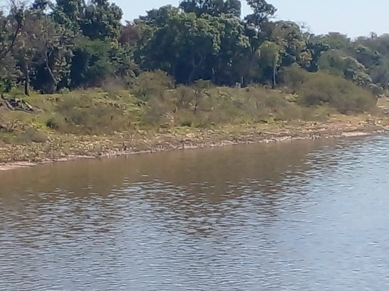 Hectareas ideal para inversionistas zona rio paraguay-villeta, foto 3