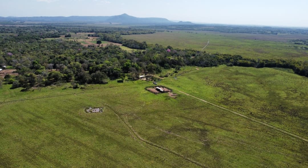 *vendo 70 hectareas en yvytymi colonia hector l. Vega dpto. De paraguari
