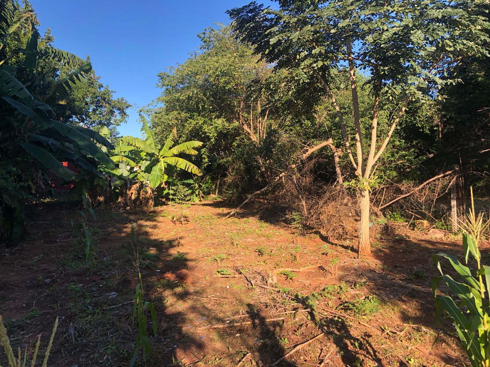Oferto amplio terreno en venta en San Lorenzo, foto 3