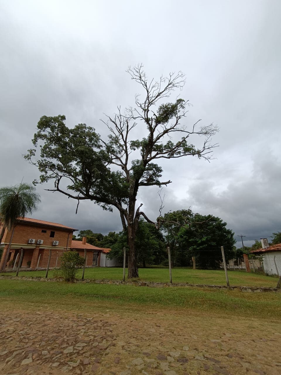 Vendo terreno en San Bernardino ( cod 037)