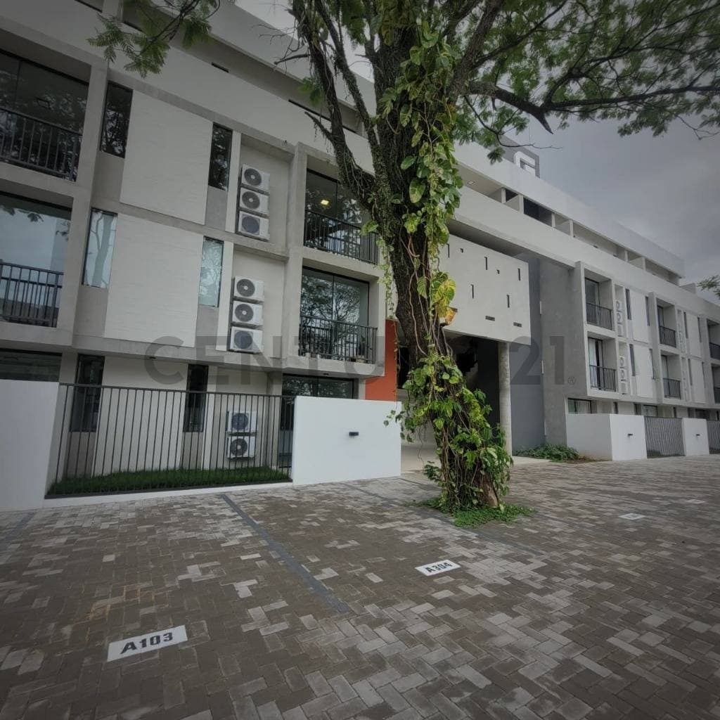 Alquilo Dpto. de 2 habitaciones en Insignia Terra01