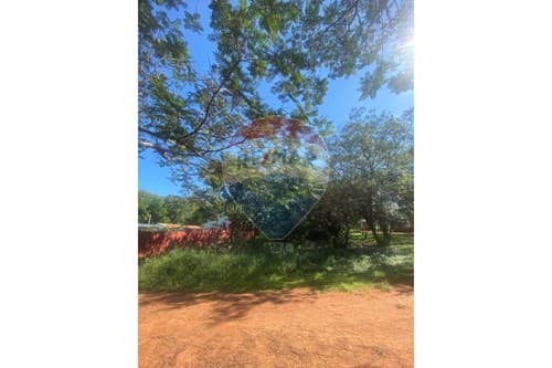 En venta amplio terreno en Luque — foto 3