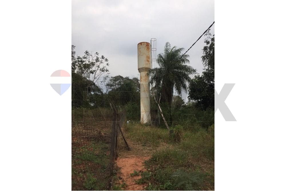 1.4 hectareas en santani, foto 3