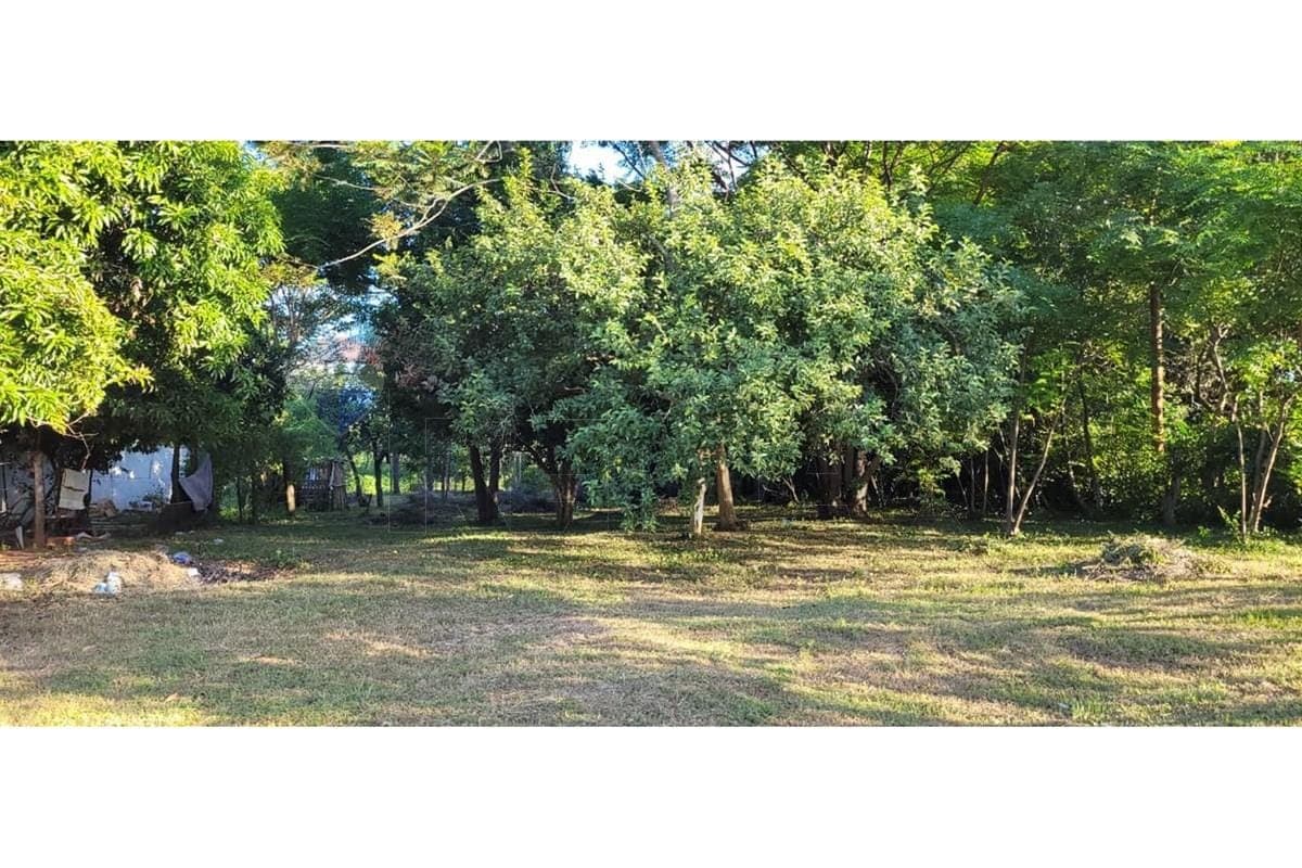 Terreno en paraguari, foto 3