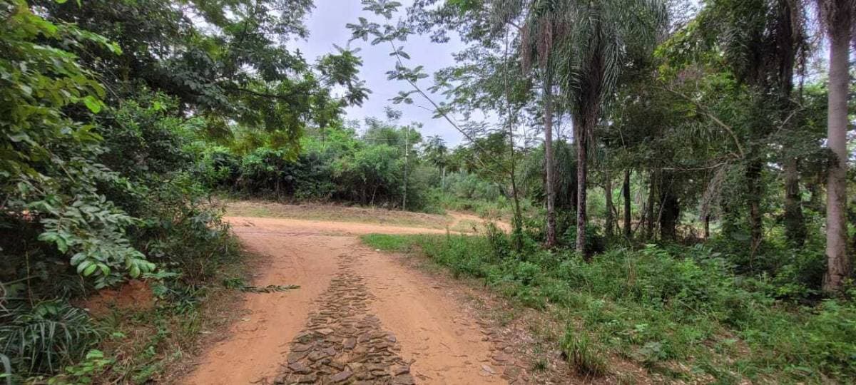 Terreno en San Bernardino zona Ciervo Cua, foto 2