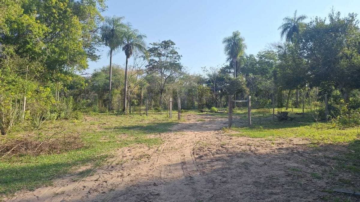 12 HA en Nueva Colombia, foto 1
