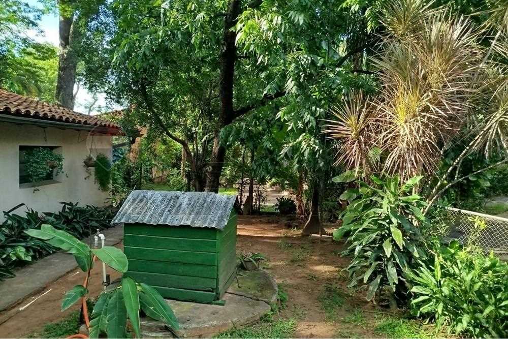 Terreno 4.151 m² sobre Av. Mariscal López – Mburicaó, foto 4