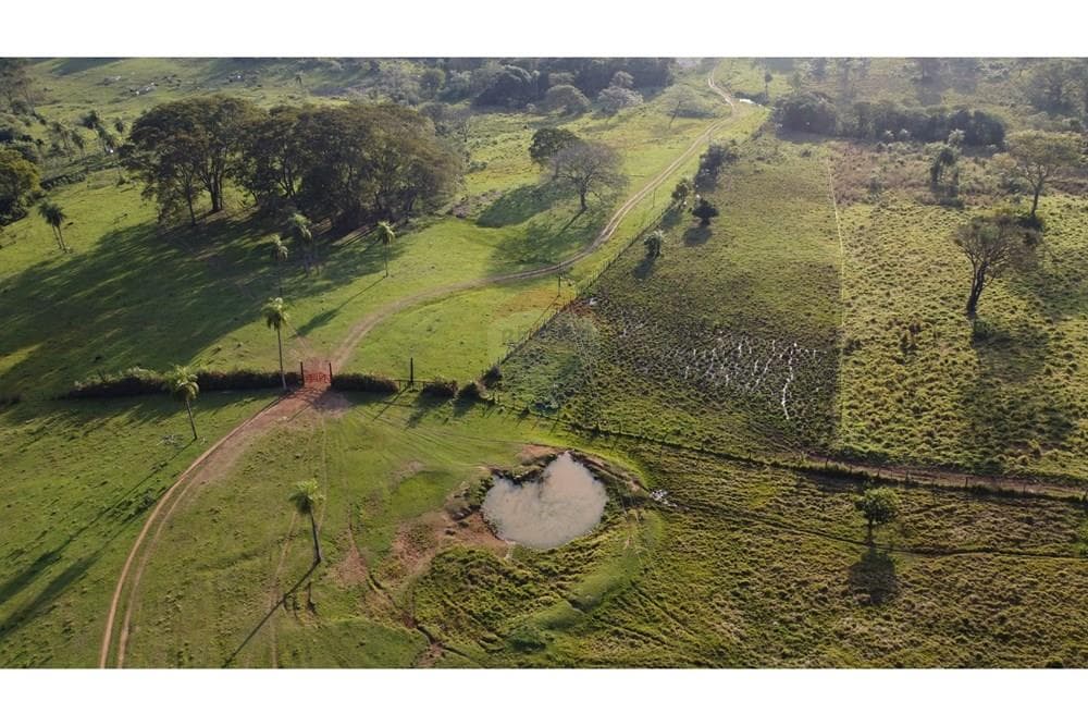 Estancia De 590 Hectáreas En Paraguari, foto 5