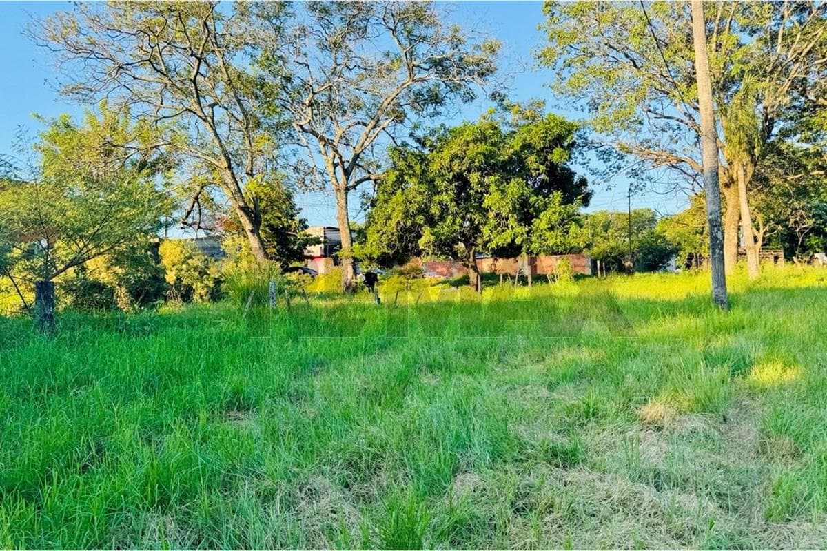 Terreno en venta - Lambaré, foto 4