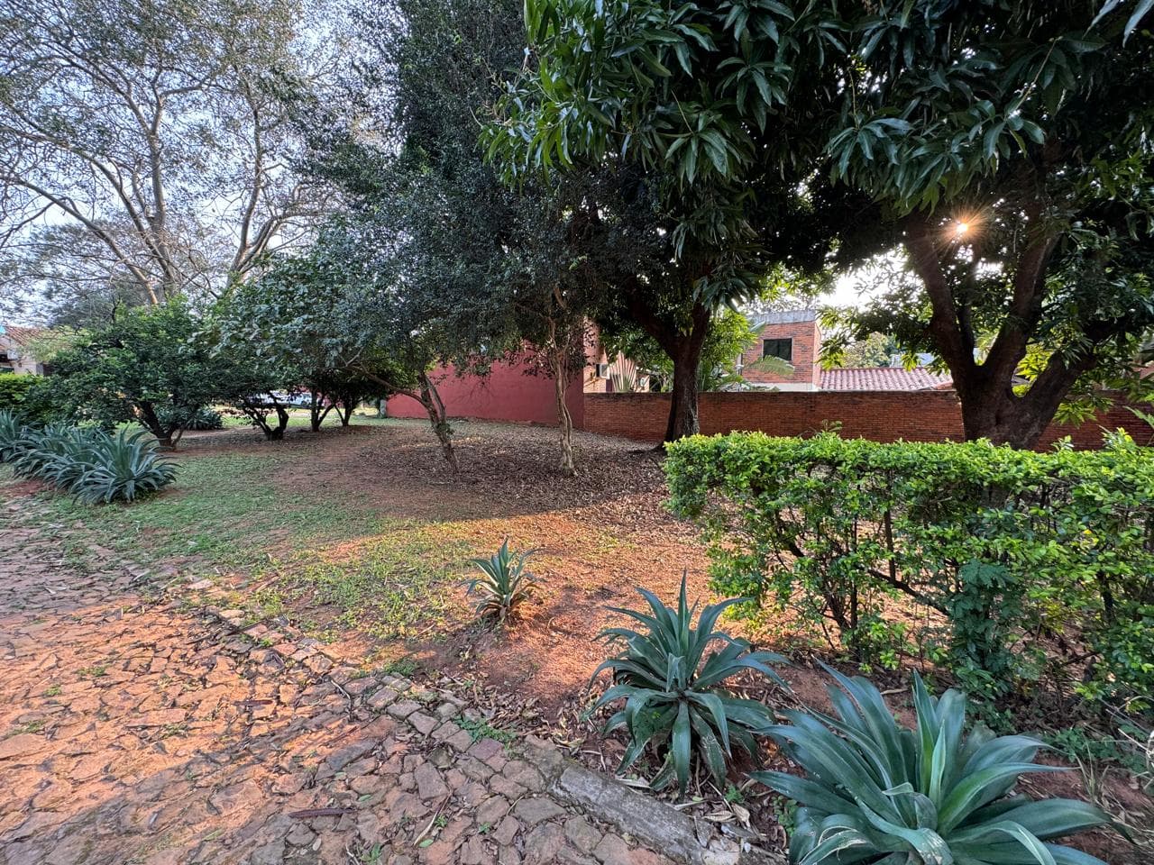 Terreno en Luque zona laurelty, foto 3
