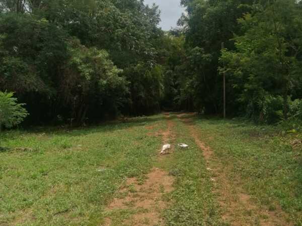 Gran oportunidad de inversión en Maramburé – Luque, foto 1