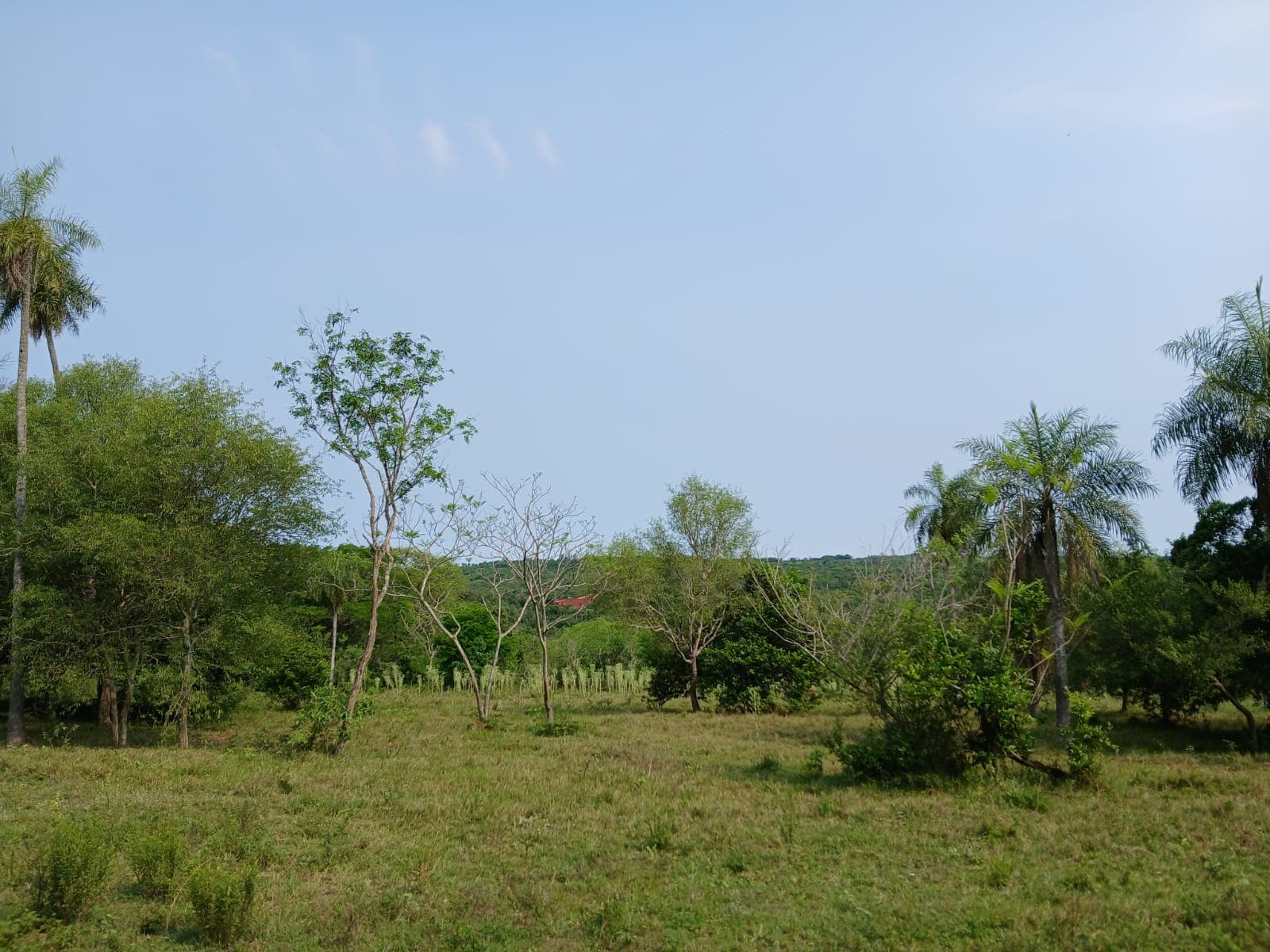 Vendo terreno en la ciudad de altos
