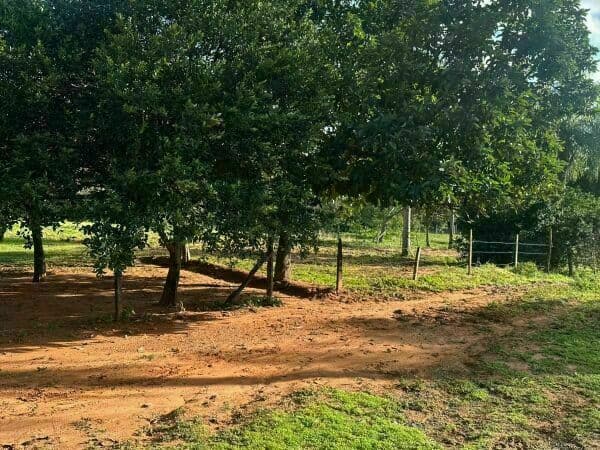 Terreno en itaugua km 28, foto 4