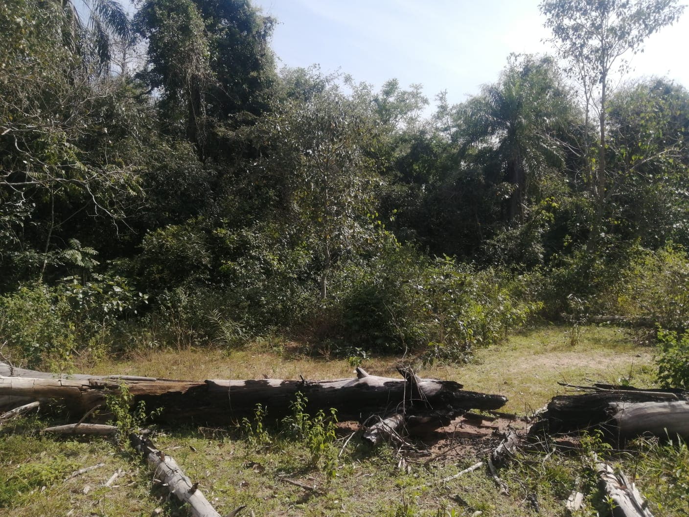 Terreno San Bernardino - zona ciervo cua, foto 2