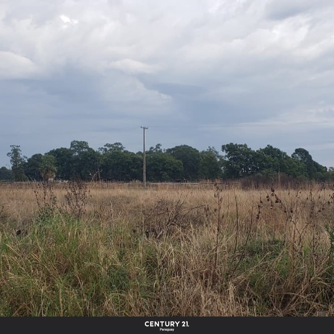 Amplio terreno de 3ha en villa hayes, foto 1