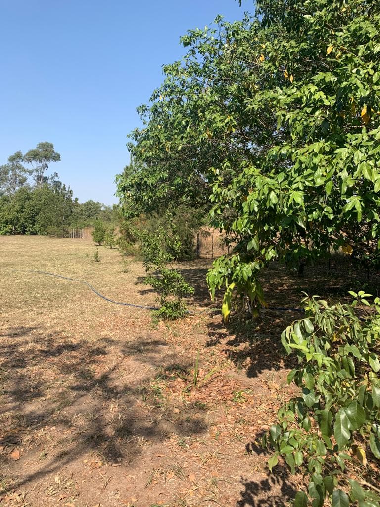 Terreno de 1.754 m2 en Surubi i, Mariano Roque Alonso - LLA6058505, foto 3