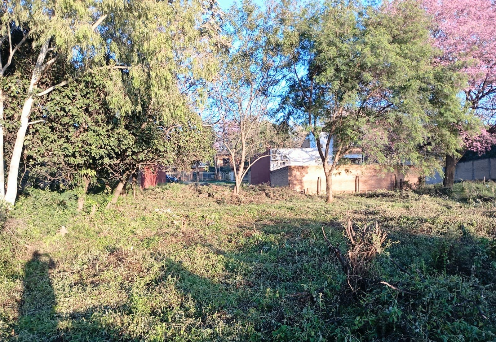 Terreno en Luque de 720 m2 Hugua de Seda sobre Campo Vía — foto 3