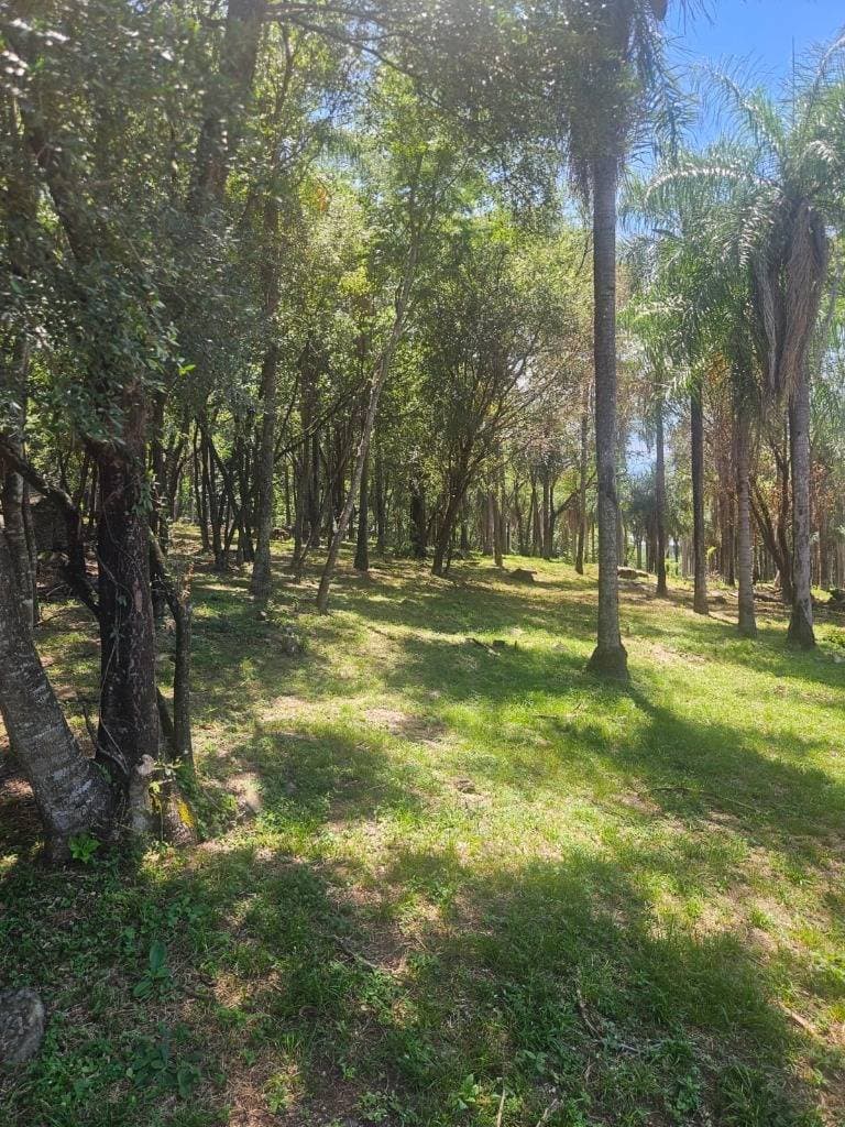Terrenos en San Bernardino, foto 3