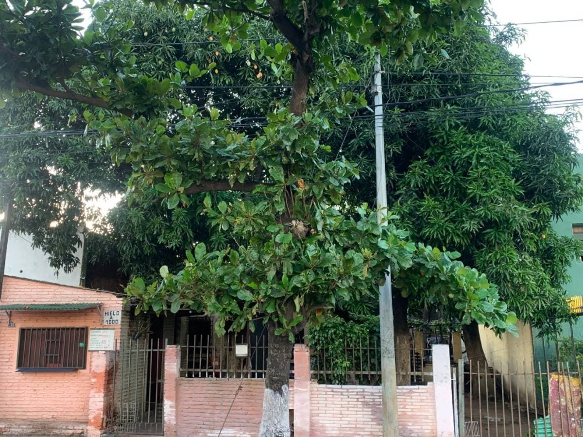 Terreno en venta en barrio Herrera, foto 3