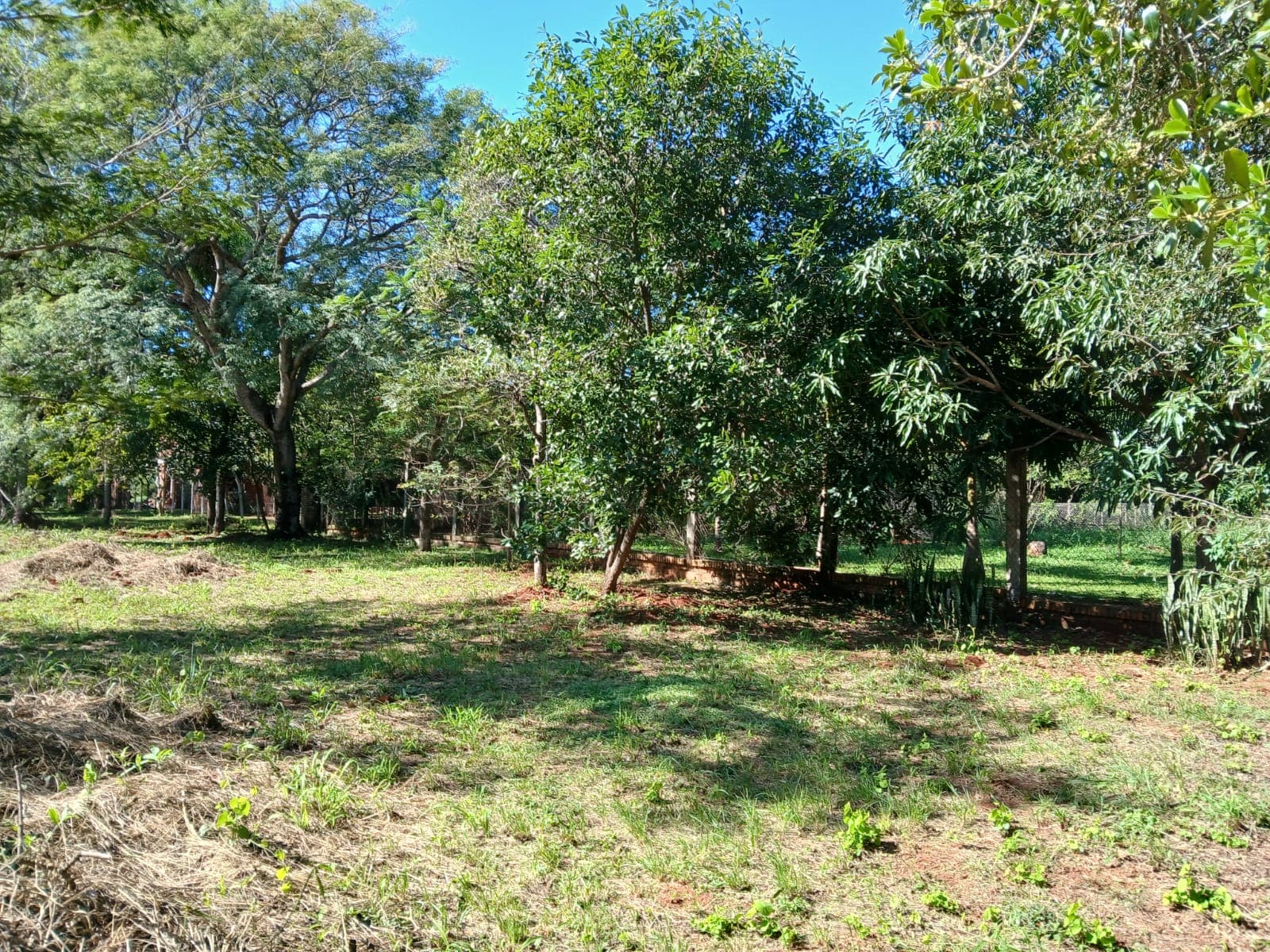Amplio terreno en venta – Luque, barrio mora cue, foto 2