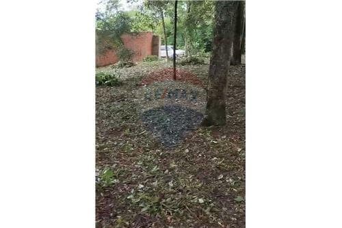 Terreno en venta, cordillera San Bernardino, foto 2
