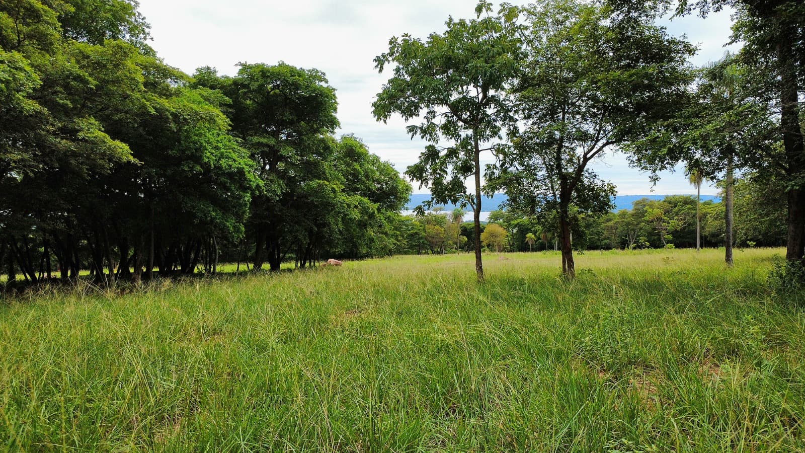 Viví rodeado de tranquilidad y naturaleza en un barrio cerrado — foto 4