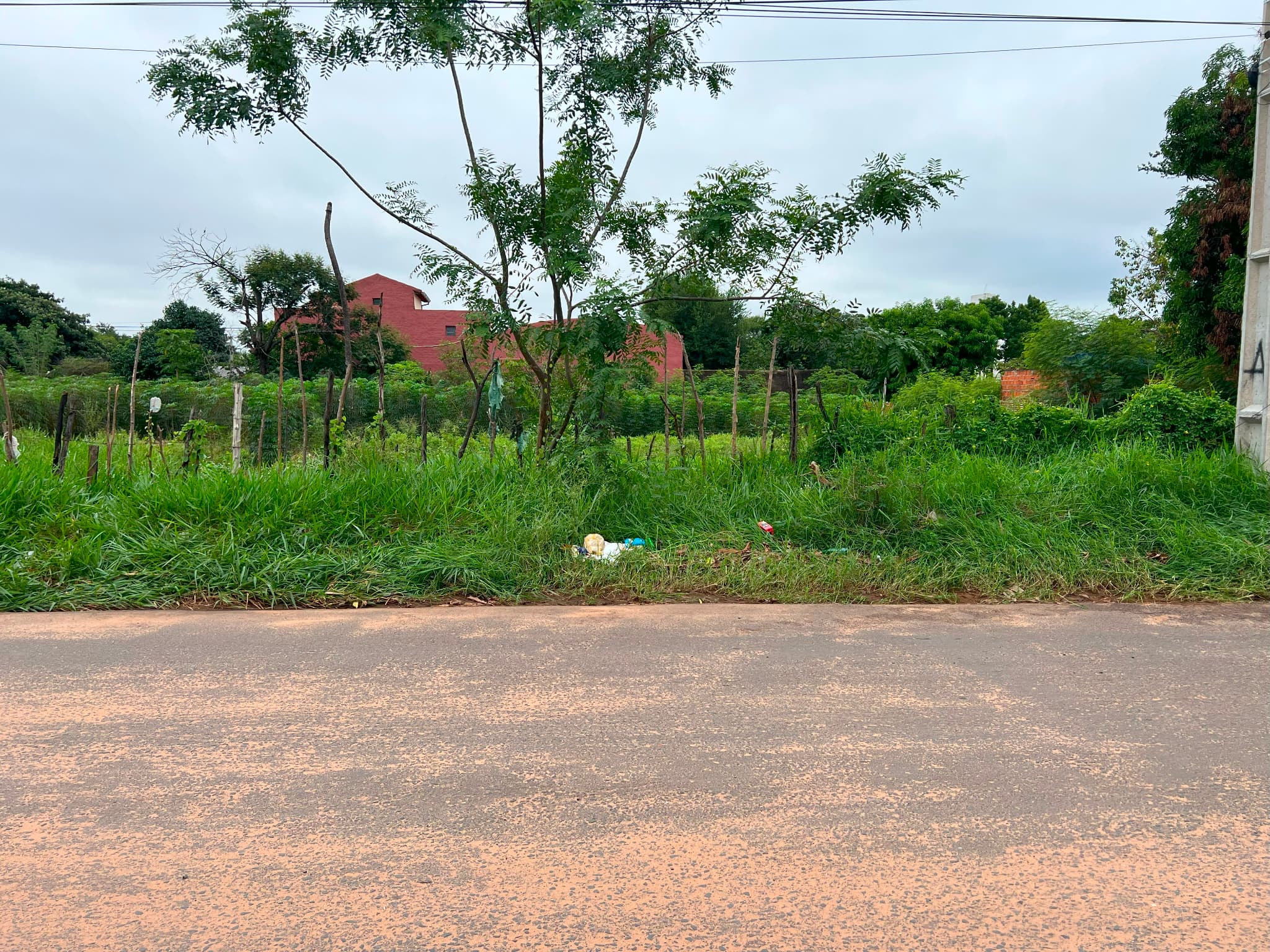 – 1.272 Mts2. Dos Lotes Juntos. Sobre Asfalto En San Lorenzo — foto 3