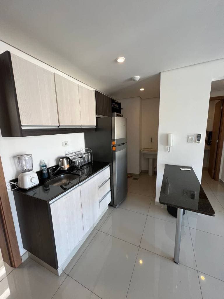 Departamento De Una Habitación Amoblado En Barrio Jara, Asunción, foto 2