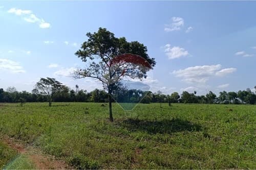 Estancia/Campo-Venta-PY Central Guarambaré, foto 2