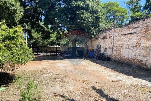 De terreno, foto 4