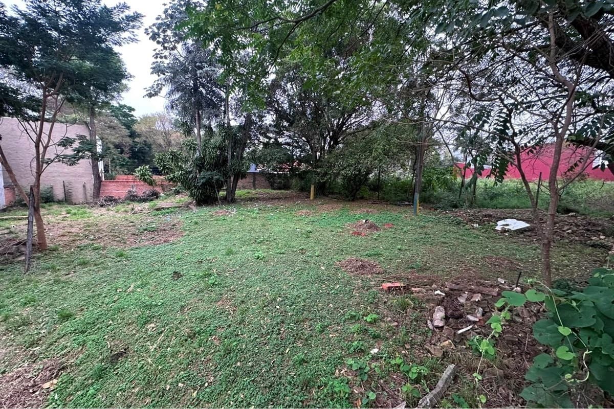 Terreno En Lambare, foto 4
