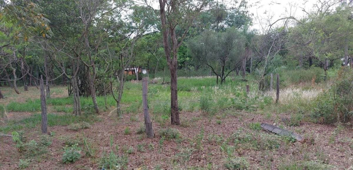 Vendo Terreno San Bernardino, Zona Ciervo Cua
