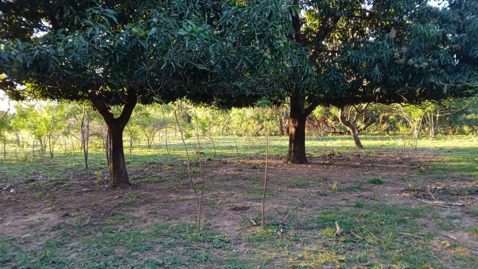 Terreno en mbatovi, foto 2