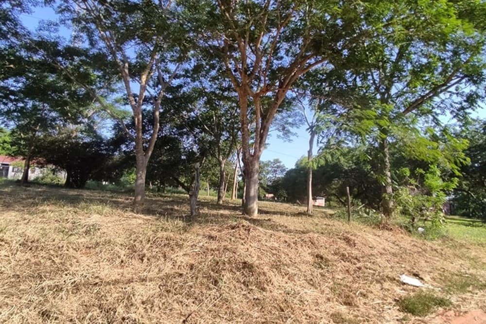 Terreno de 2814 m2 en mbarambure - Luque, foto 4