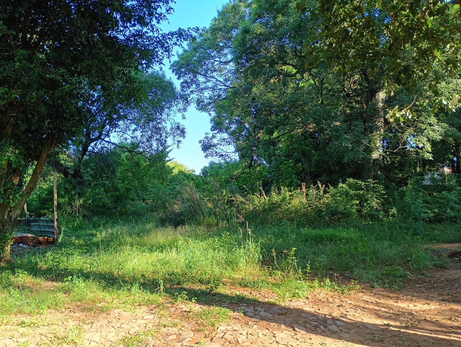 Terreno En Luque, foto 4