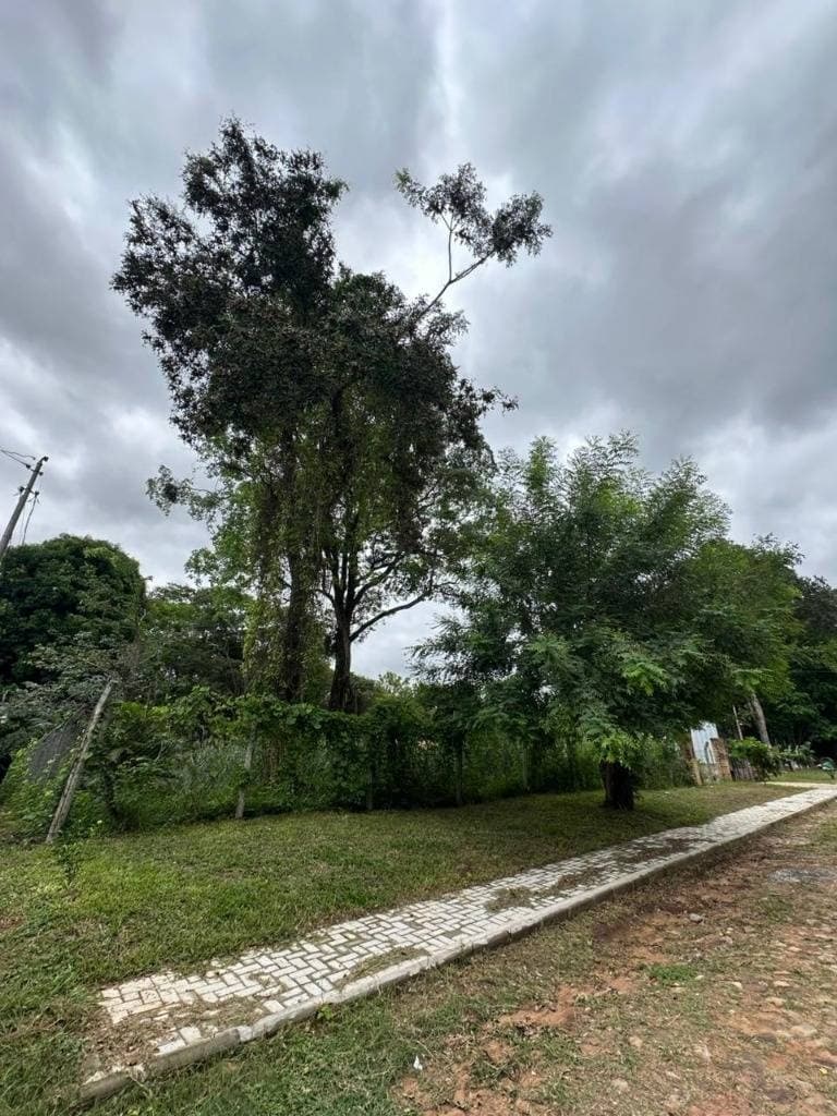 Venta de terreno en San Bernardino