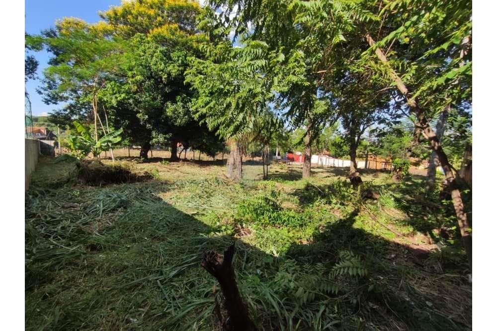 Amplio terreno en esquina Villa Elisa, foto 4