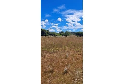 Terrenos en Venta en Ubicación Estratégica Pirayú, foto 2
