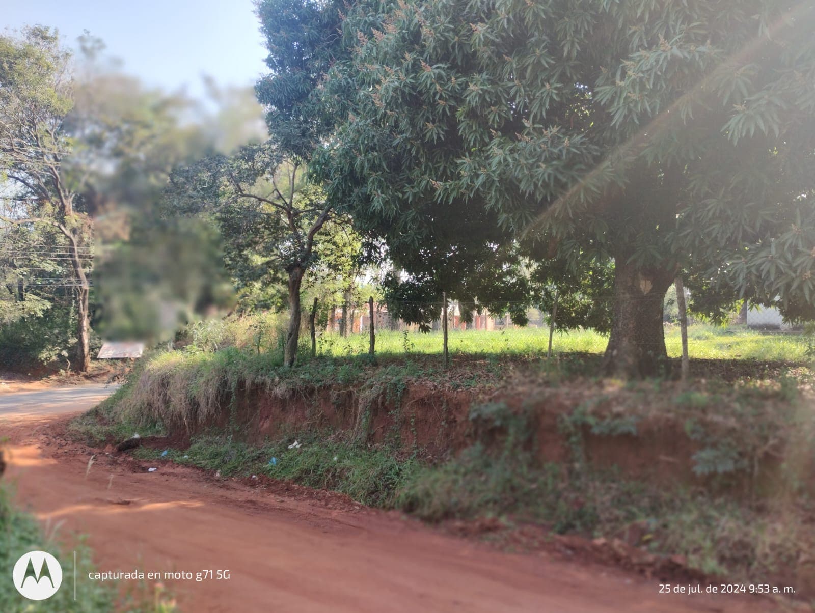 Terreno, foto 4
