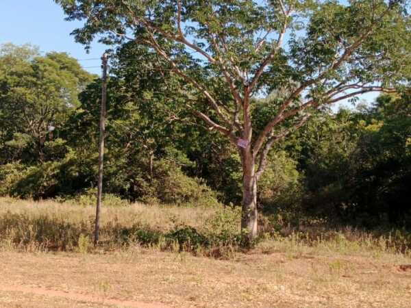 De terreno en atyra, foto 2