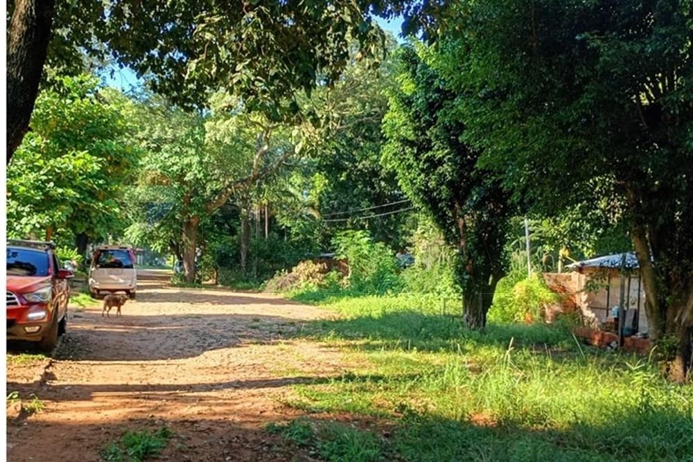 Oferta de terreno en Luque - isla bogado, foto 3