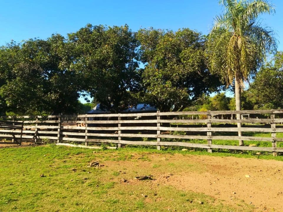 Oferta Vendo Estancia Formada En Caapucu A Tranquera Cerrada Con 150 Cabezas — foto 3