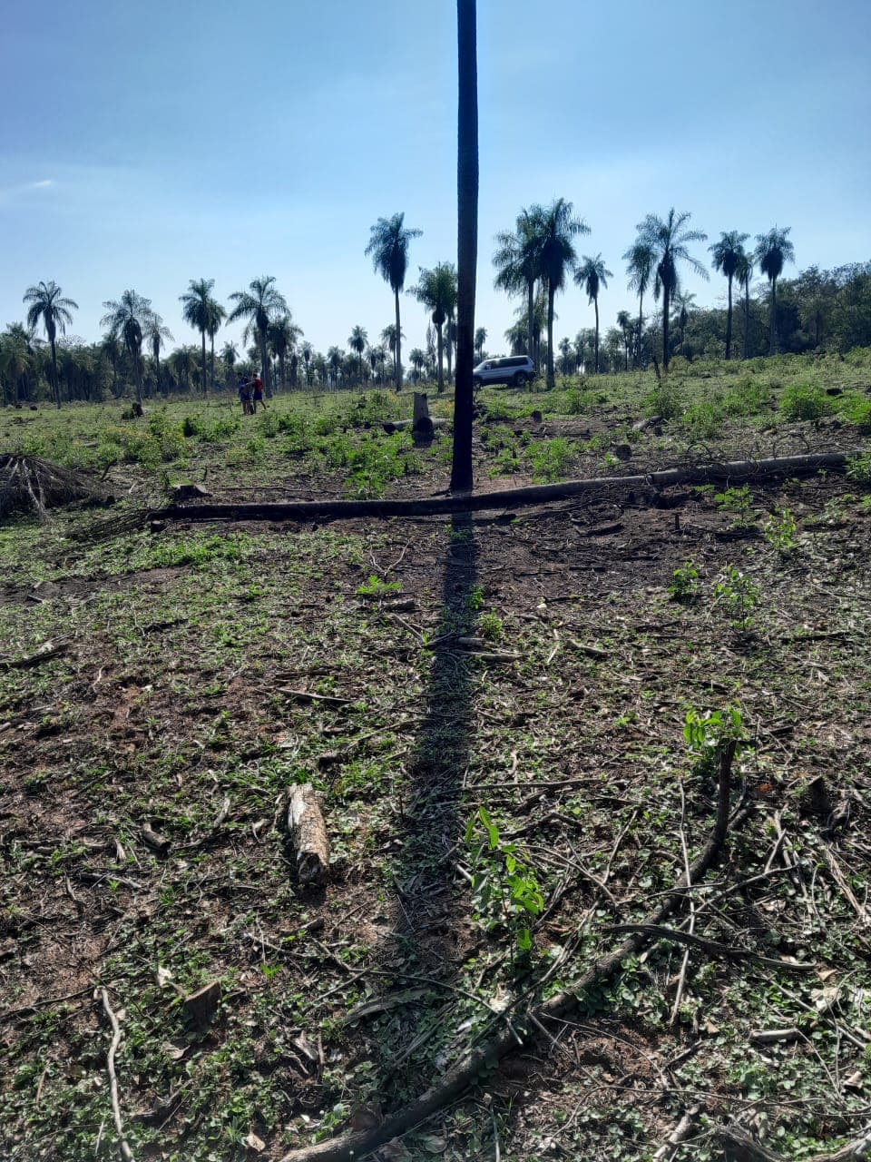 propiedad de 2 hectáreas en Atyra Ideal para granja, foto 1