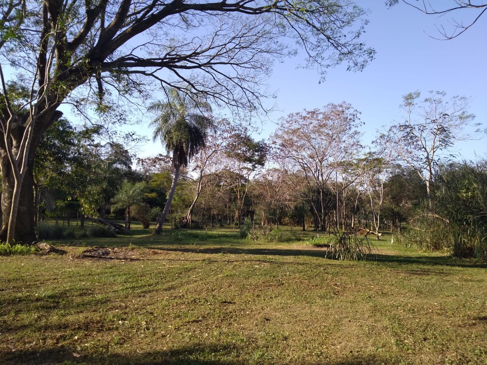 Propiedad Especial Para Casa Quinta - Ruta Paraguari - Pirayu, foto 5