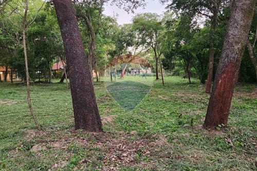 Terreno-Venta-PY Cordillera San Bernardino MCAL. ESTIGARRIBIA AVDA CIERVO CUA, foto 5