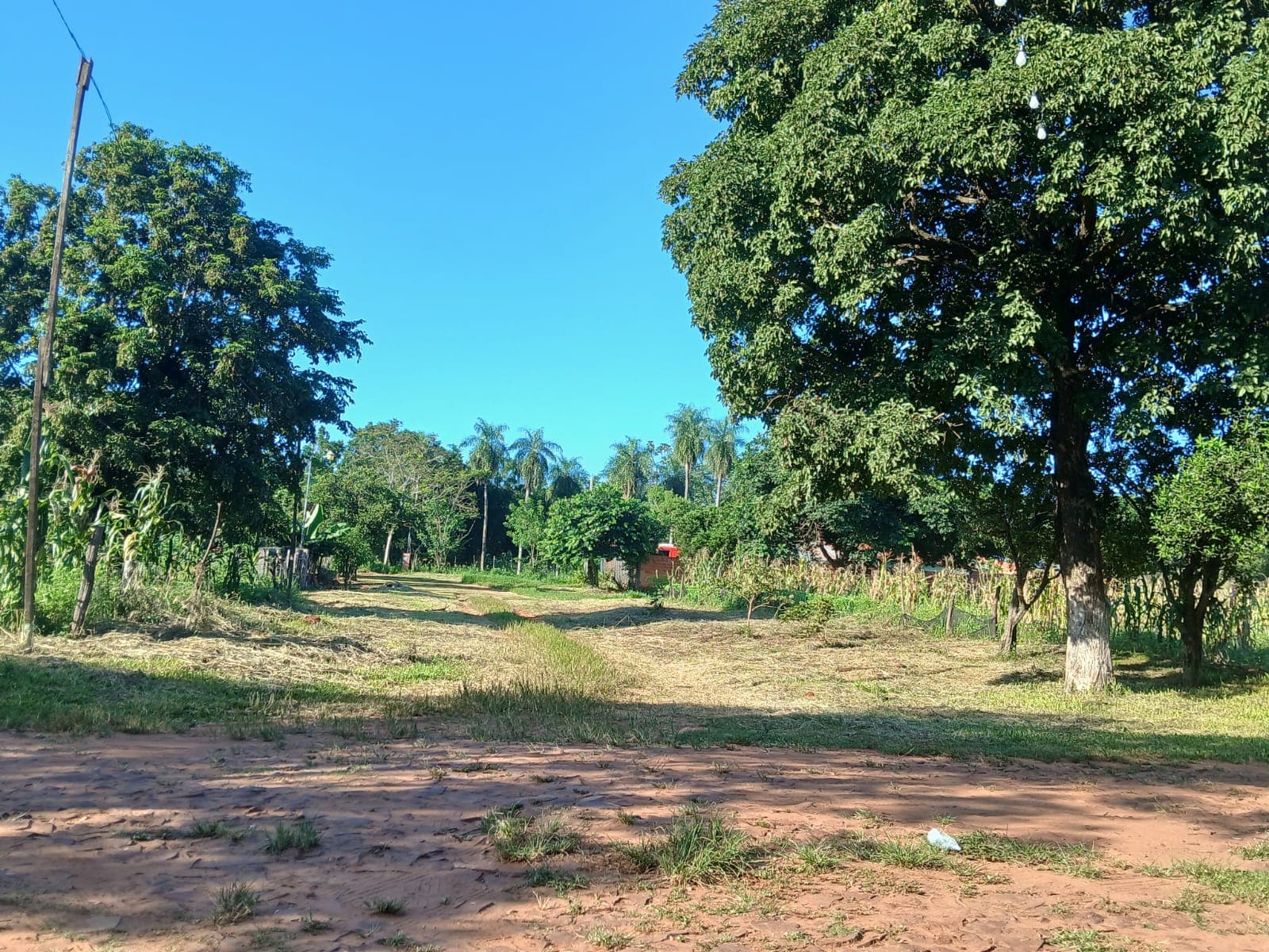 Terreno, foto 3