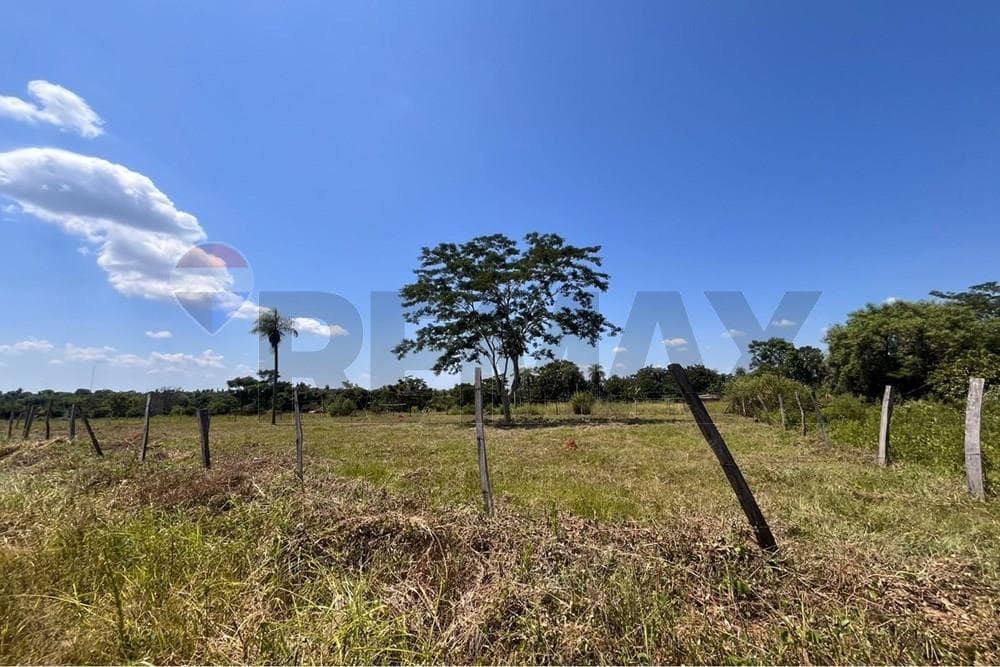 Terreno en Luque, foto 2