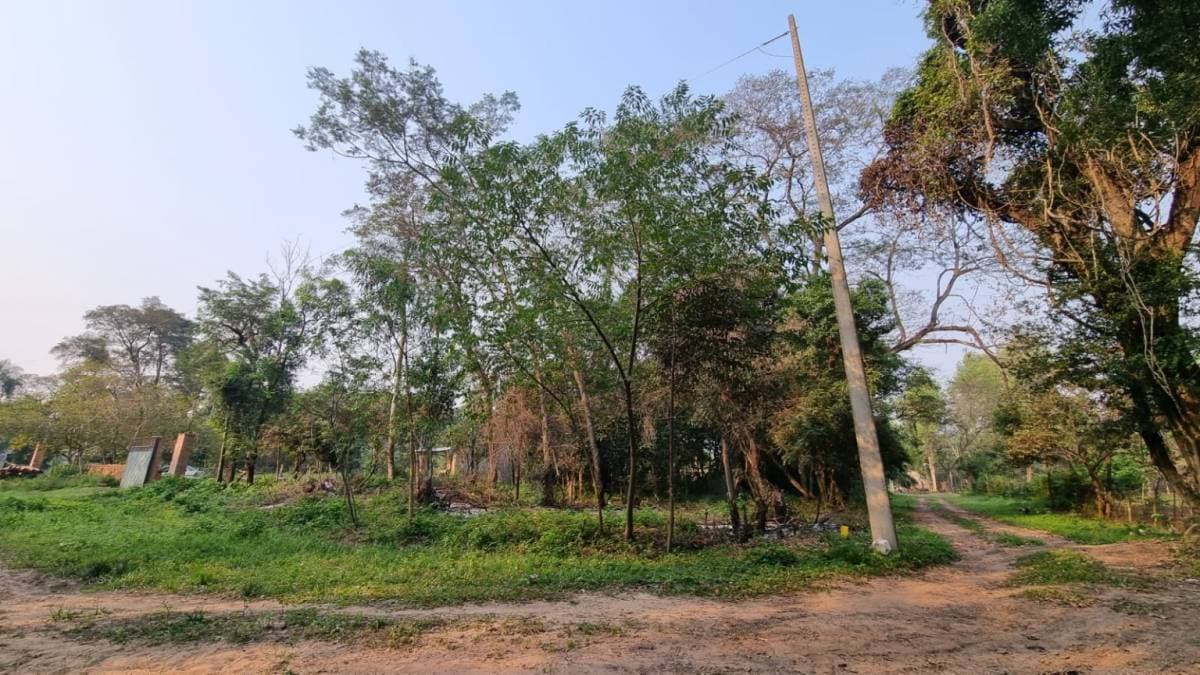 Terrenos en ciervo cua San Bernardino — foto 2
