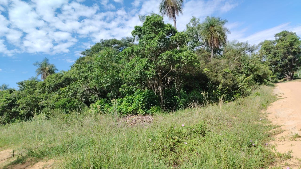 Terreno En La Ciudad De Ypacarai, foto 2